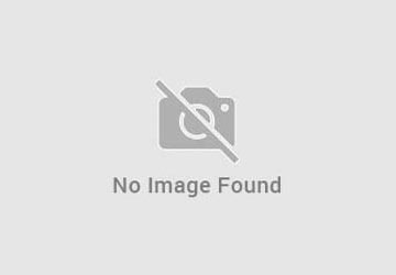 Article F 00H L00 053 Sonde lambda
