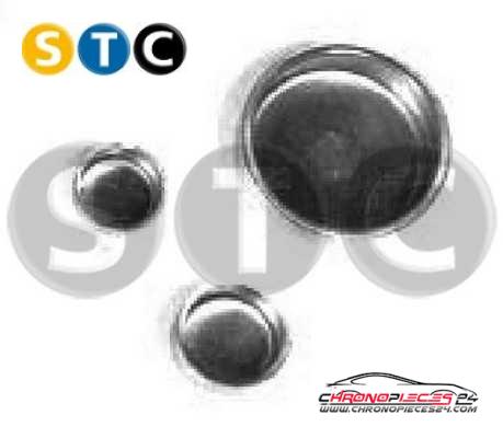 Achat de STC T402504 Bouchon de dilatation pas chères
