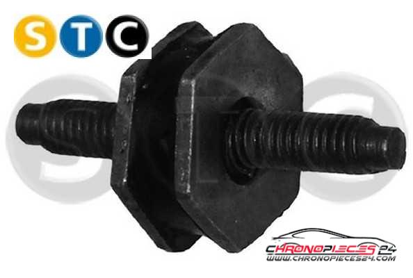 Achat de STC T404660 Support de palier, suspension du moteur pas chères