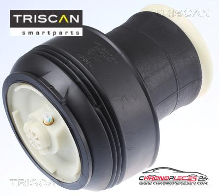 Achat de TRISCAN 8720 11203 Ressort pneumatique, châssis pas chères