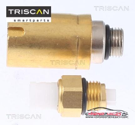 Achat de TRISCAN 8720 29301 Ressort pneumatique, châssis pas chères